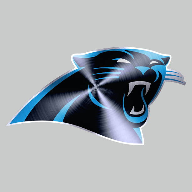 Carolina Panthers Stainless steel logo iron on paper